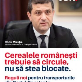 Radu Miriuta